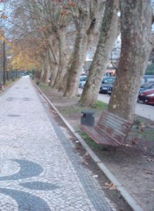 outono_Rio Lis_Leiria-Portugal